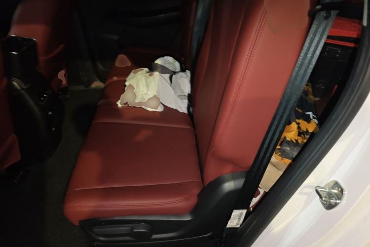 Used Baojun 730 2019 1.5T CVT Fashion Model 7 Seats China VI Emission Standard Left Rear Seat