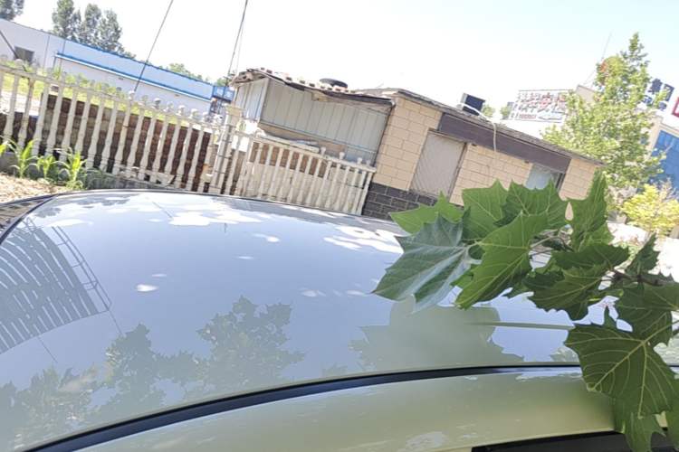 Used Baojun 730 2019 1.5L Manual Value Edition 7 Seats China VI Emission Standard Roof