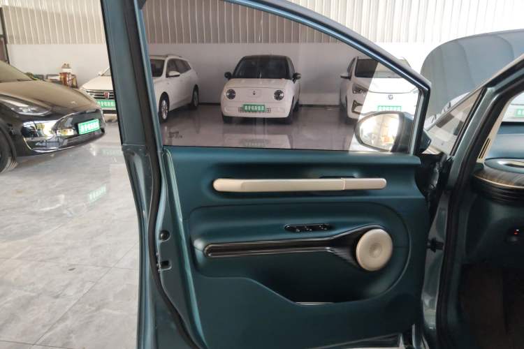 Used Baojun Cloud 2023 460 Max Left Front Door Interior