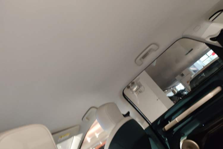 Used Baojun Cloud 2023 460 Pro Headliner