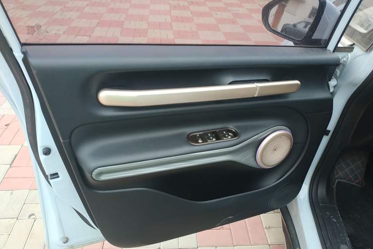 Used Baojun Cloud 2023 460 Max Left Front Door Interior