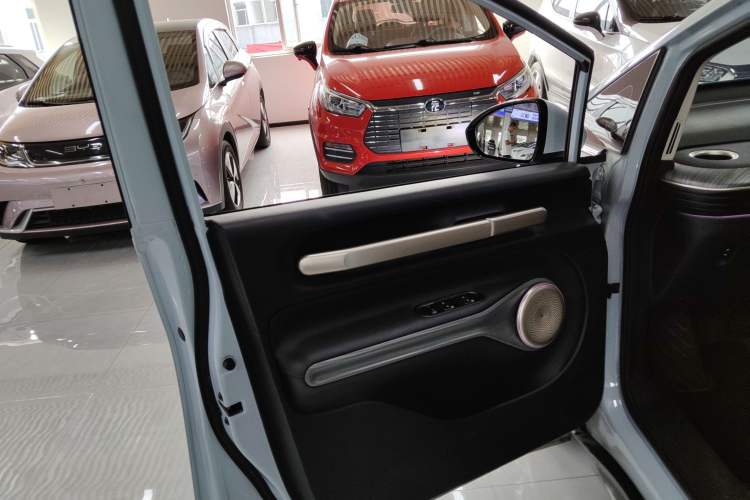 Used Baojun Cloud 2023 460 Max Lingxi Version Left Front Door Interior
