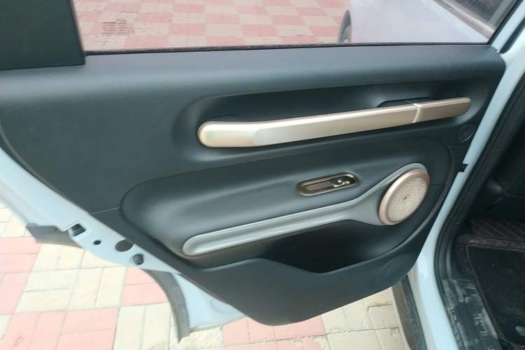 Used Baojun Cloud 2023 460 Max Left Rear Door Interior
