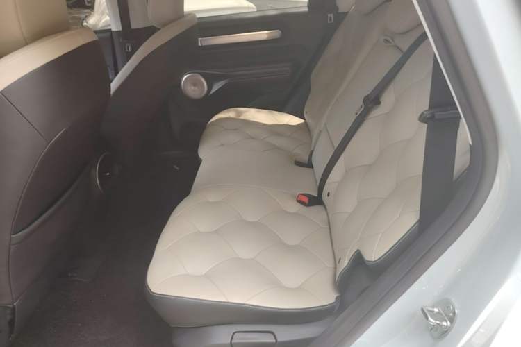 Used Baojun Cloud 2023 460 Max Lingxi Version Left Rear Seat