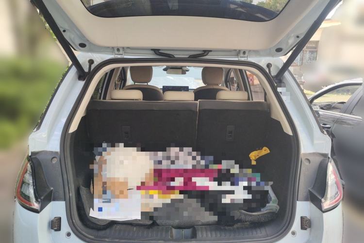 Used Baojun Cloud 2023 460 Max Lingxi Version Trunk