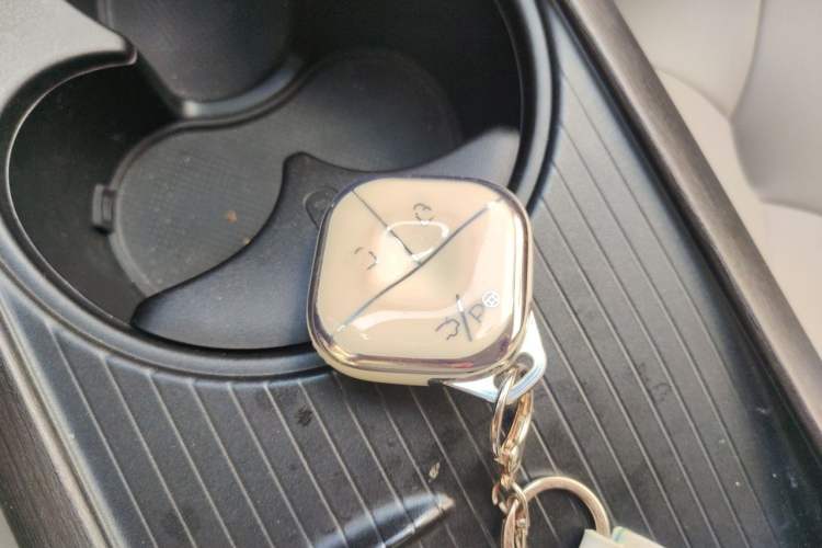 Used Baojun Cloud 2023 460 Max Lingxi Version Vehicle Key