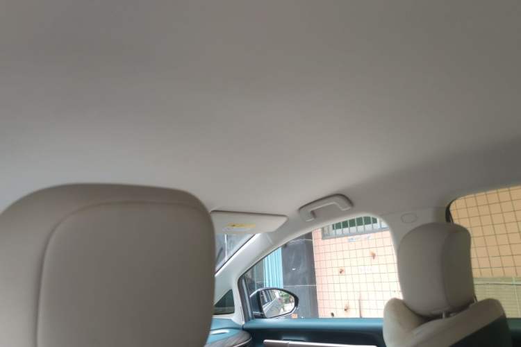Used Baojun Cloud 2023 460 Pro Headliner