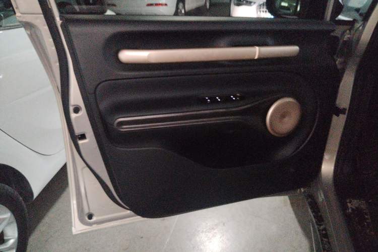 Used Baojun Cloud 2023 460 Pro Lingxi Version Left Front Door Interior