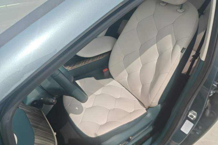 Used Baojun Cloud 2023 460 Pro Left Front Seat