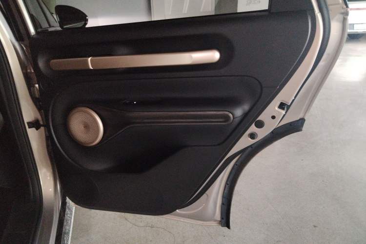 Used Baojun Cloud 2023 460 Pro Lingxi Version Right Rear Door Interior