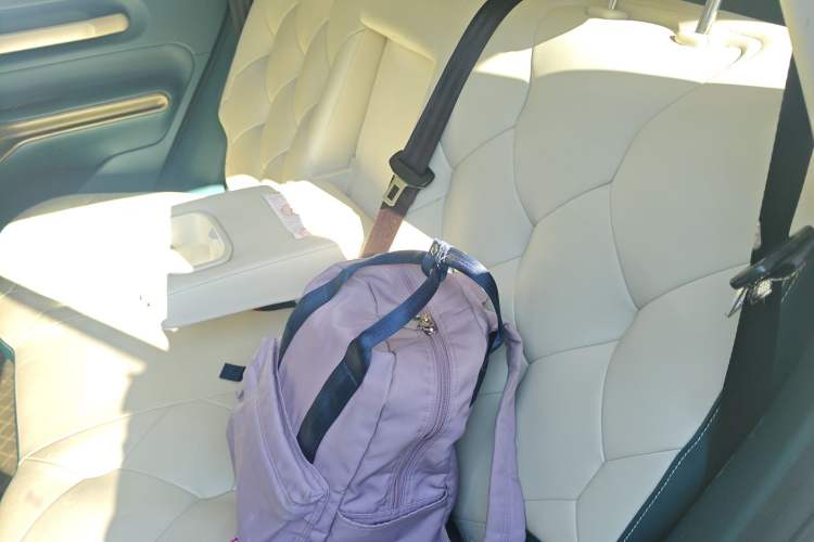 Used Baojun Cloud 2023 460 Max Lingxi Version Left Rear Seat