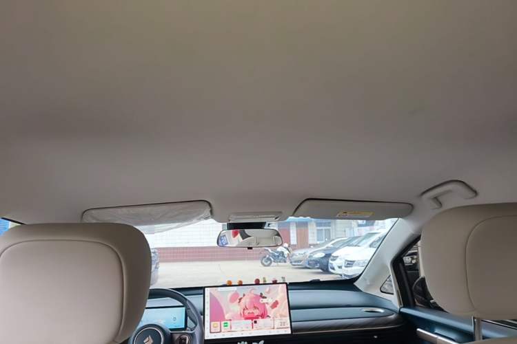 Used Baojun Cloud 2023 460 Pro Headliner
