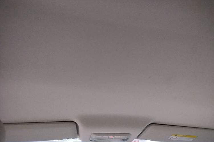 Used Baojun Cloud 2023 460 Pro Headliner