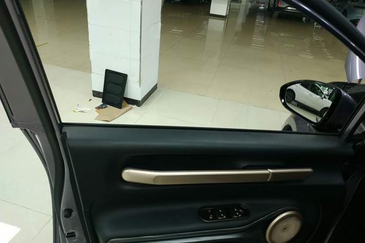 Used Baojun Cloud 2023 460 Pro Left Front Door Interior
