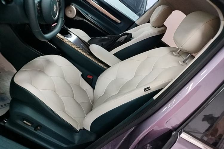 Used Baojun Cloud 2023 460 Pro Left Front Seat