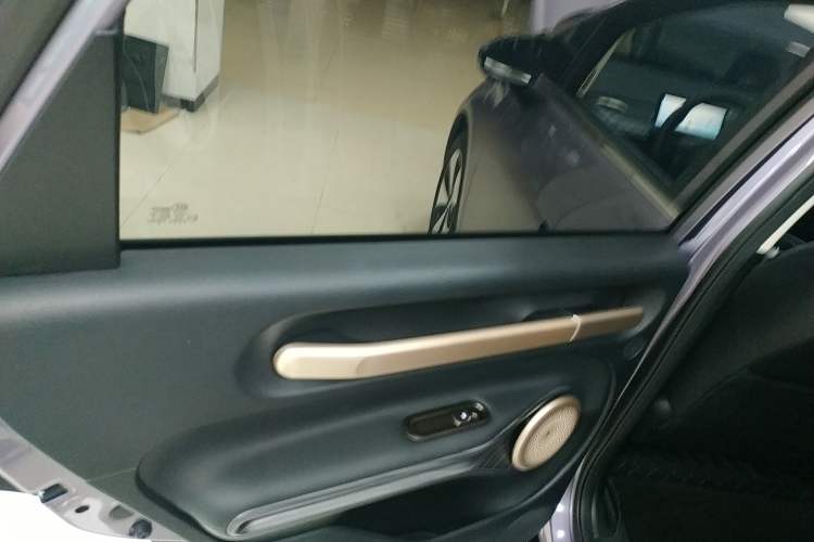 Used Baojun Cloud 2023 460 Pro Left Rear Door Interior