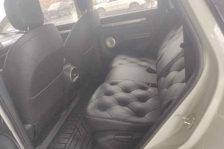 Used Baojun Cloud 2023 460 Pro Left Rear Seat