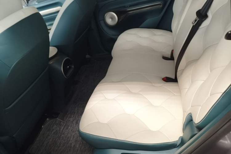 Used Baojun Cloud 2023 460 Pro Left Rear Seat