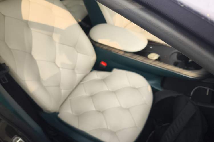 Used Baojun Cloud 2023 460 Max Lingxi Version Right Front Seat