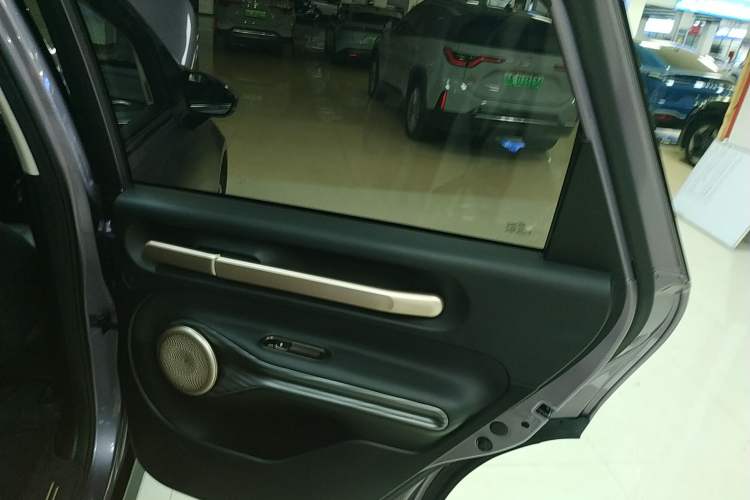 Used Baojun Cloud 2023 460 Pro Right Rear Door Interior