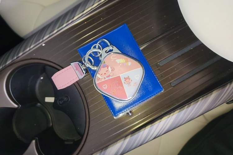 Used Baojun Cloud 2023 460 Pro Vehicle Key