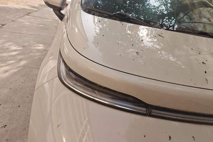 Used Baojun Cloud 2023 460 Pro Exterior 6