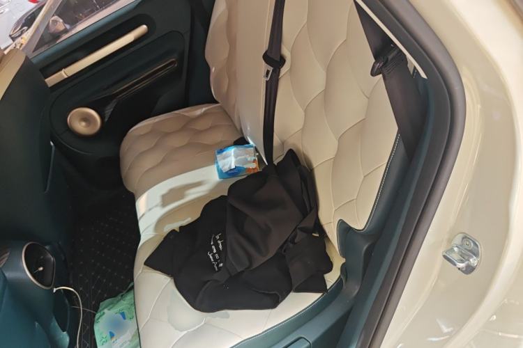 Used Baojun Cloud 2023 460 Pro Left Rear Seat