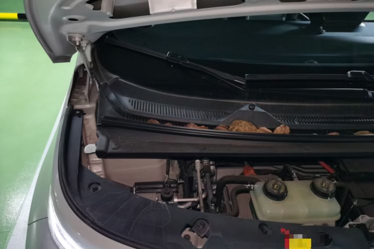 Used Baojun Cloud 2023 460 Max Engine Bay Right