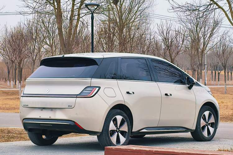 Used Baojun Cloud 2023 460 Pro Exterior 6