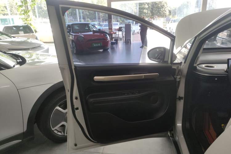 Used Baojun Cloud 2023 360 Plus Left Front Door Interior