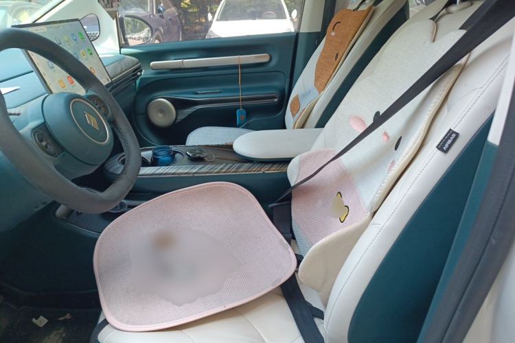 Used Baojun Cloud 2023 460 Max Left Front Seat
