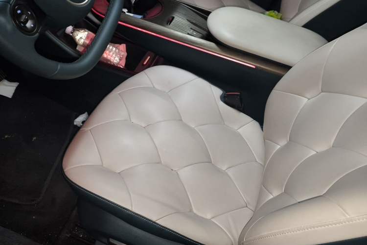 Used Baojun Cloud 2023 460 Max Lingxi Version Left Front Seat