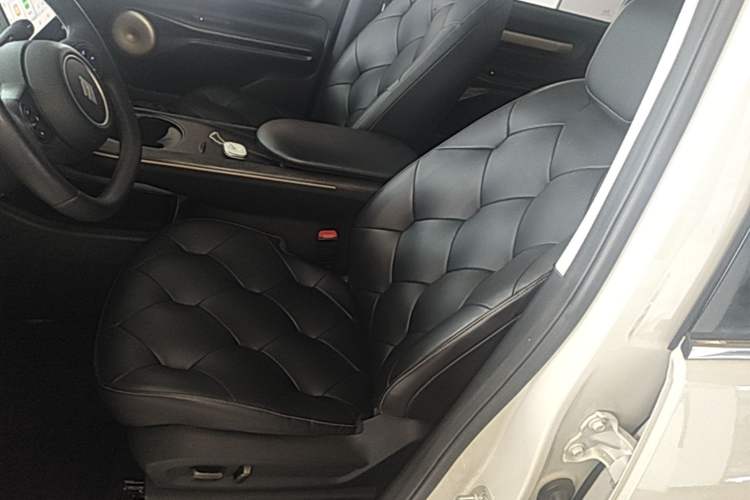 Used Baojun Cloud 2023 460 Pro Left Front Seat