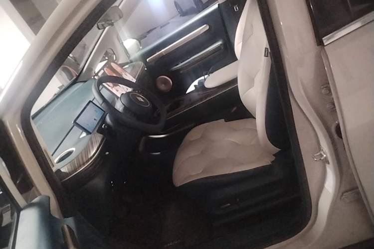 Used Baojun Cloud 2023 460 Pro Left Front Seat