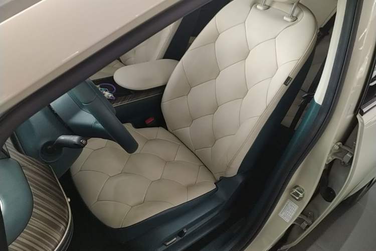 Used Baojun Cloud 2023 460 Pro Left Front Seat