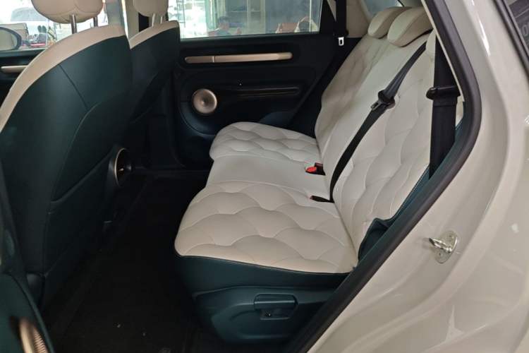 Used Baojun Cloud 2023 460 Pro Left Rear Seat