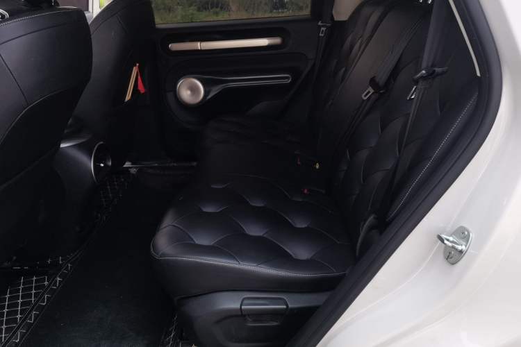 Used Baojun Cloud 2023 460 Pro Left Rear Seat