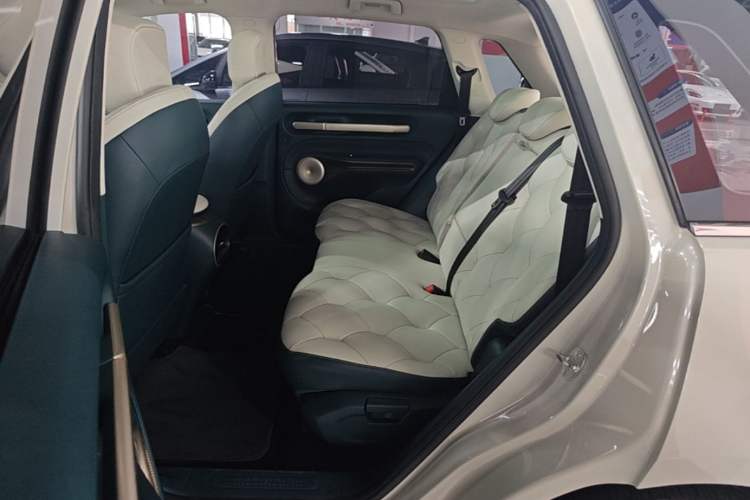 Used Baojun Cloud 2023 460 Max Left Rear Seat