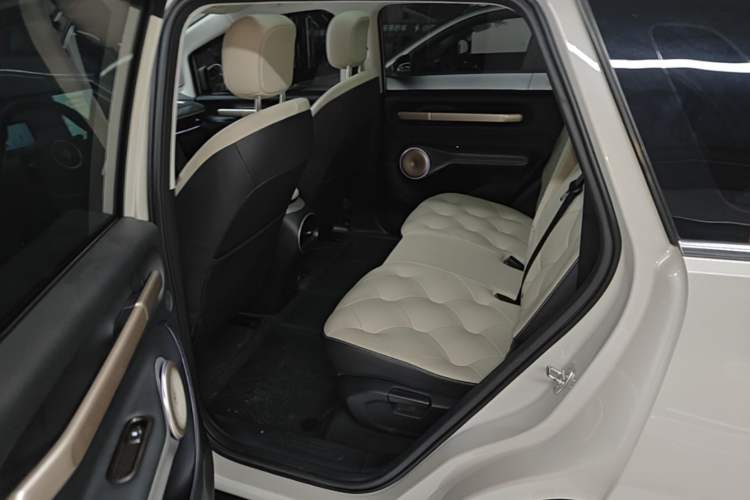 Used Baojun Cloud 2023 460 Max Left Rear Seat