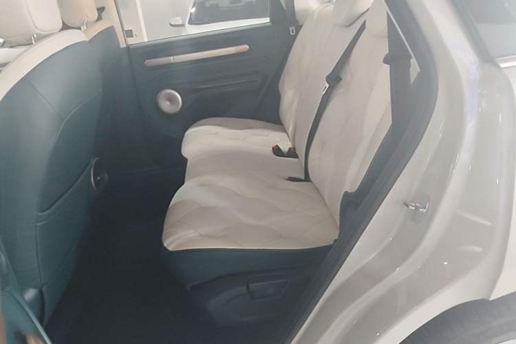 Used Baojun Cloud 2023 460 Pro Left Rear Seat