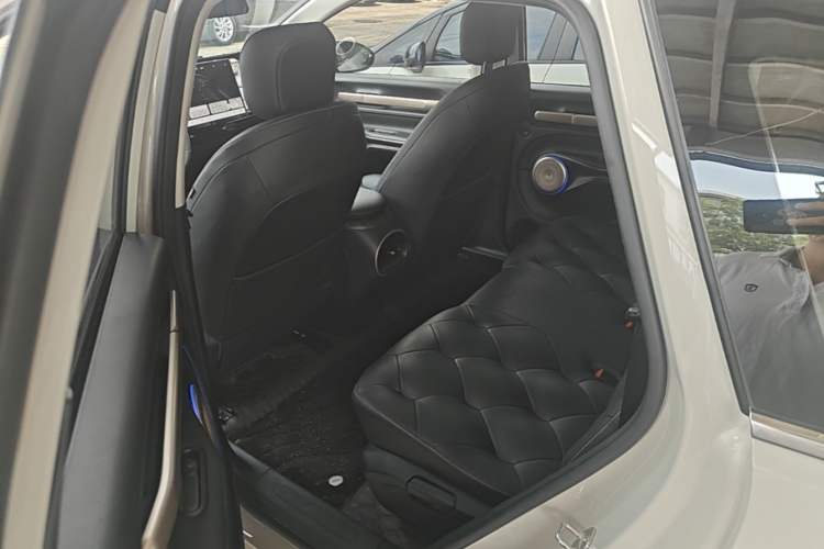 Used Baojun Cloud 2023 460 Max Left Rear Seat