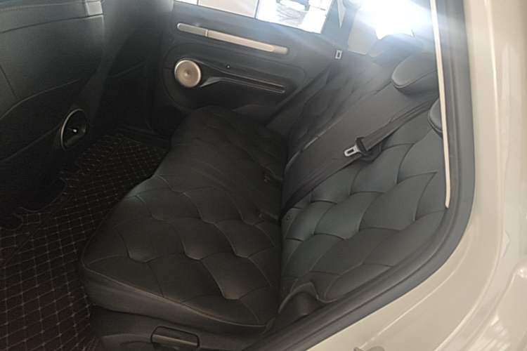 Used Baojun Cloud 2023 460 Pro Left Rear Seat