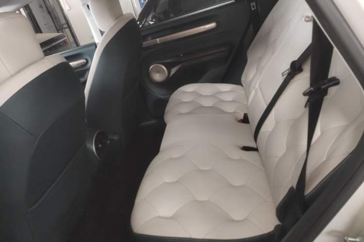 Used Baojun Cloud 2023 460 Max Left Rear Seat