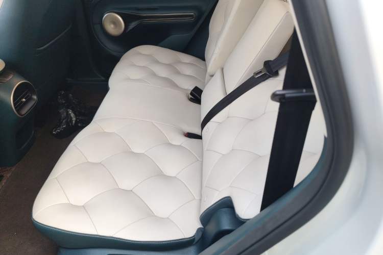 Used Baojun Cloud 2023 460 Max Left Rear Seat