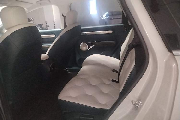 Used Baojun Cloud 2023 460 Pro Left Rear Seat
