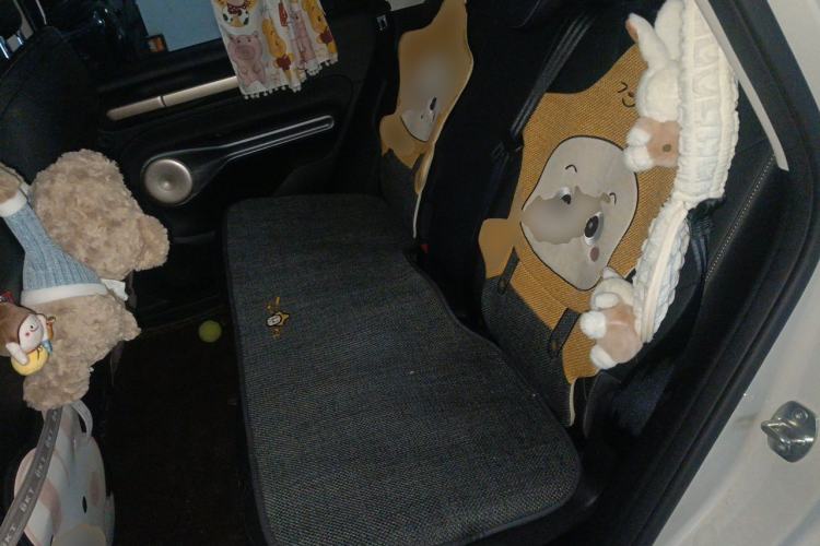 Used Baojun Cloud 2023 360 Pro Left Rear Seat