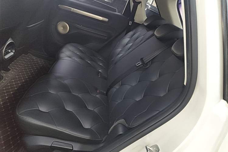 Used Baojun Cloud 2023 460 Pro Left Rear Seat