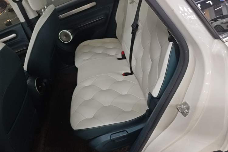 Used Baojun Cloud 2023 460 Max Left Rear Seat
