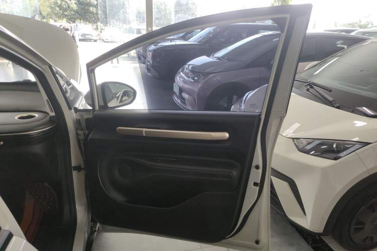 Used Baojun Cloud 2023 360 Plus Right Front Door Interior