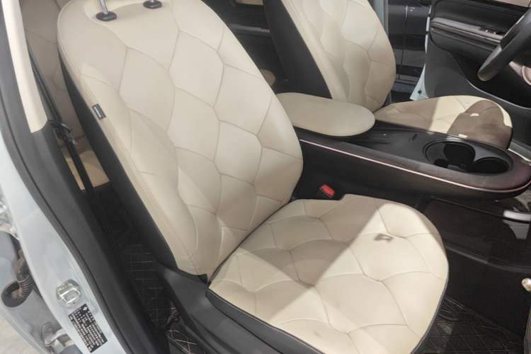 Used Baojun Cloud 2023 460 Max Lingxi Version Right Front Seat